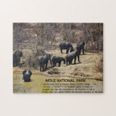 Puzzle de l'éléphant africain (Horizontal)
