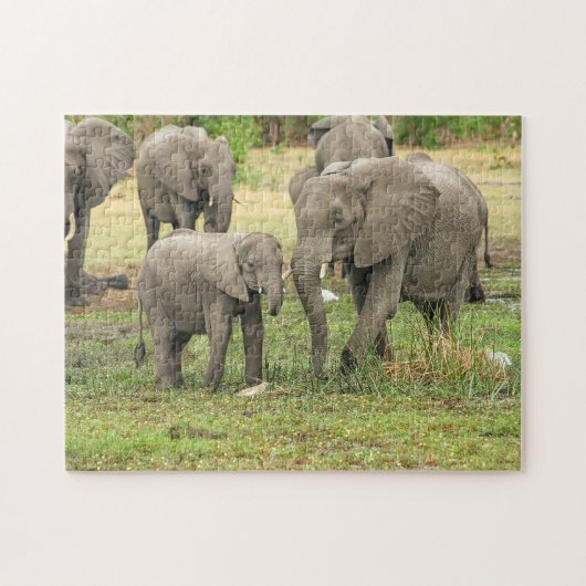 Puzzle de l'éléphant mère et bébé (Horizontal)