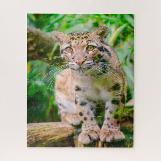 Puzzle de Leopard Big Cat nuageux (Vertical)