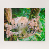 Puzzle de Leopard Big Cat nuageux (Horizontal)