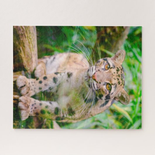 Puzzle de Leopard Big Cat nuageux (Horizontal)