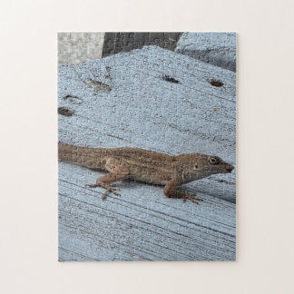 Puzzle de lézard de jardin