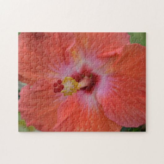Puzzle de l'Hibiscus Orange (Horizontal)