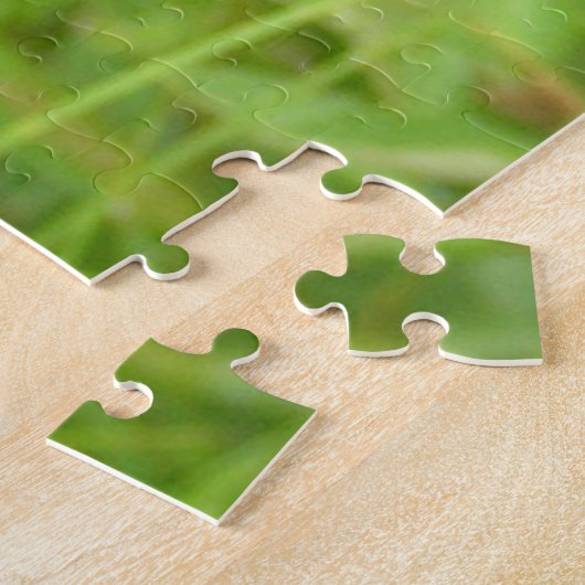 Puzzle de libellule (Côté)