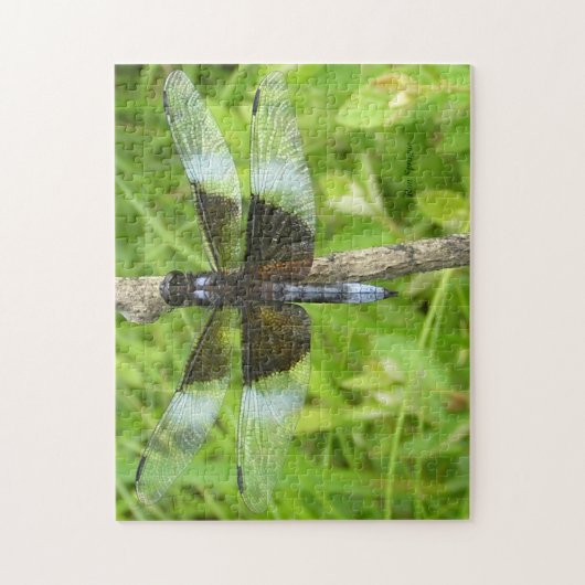 Puzzle de libellule (Vertical)