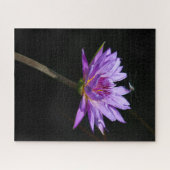 Puzzle de libellule violette Nénuphar (Horizontal)