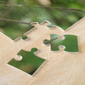 Puzzle de libellules de fléchettes communes (Côté)