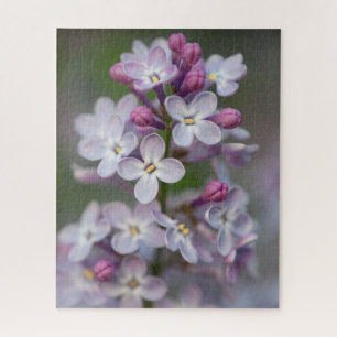 Puzzle de Lilacs