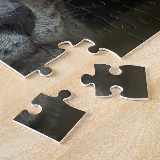 Puzzle de l'intensité (Côté)