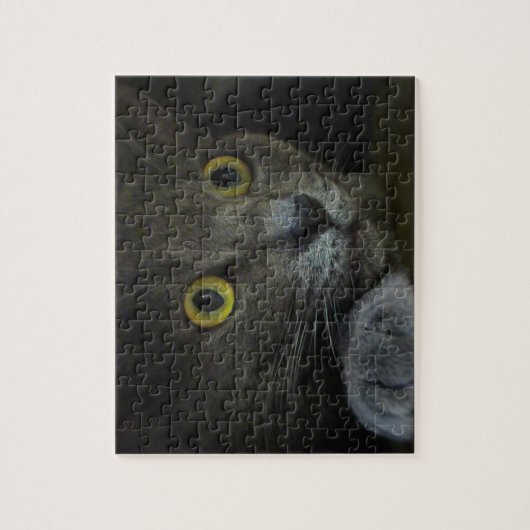 Puzzle de l'intensité (Vertical)