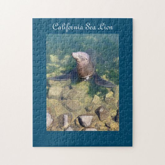 Puzzle de Lion de la mer de Californie (Vertical)