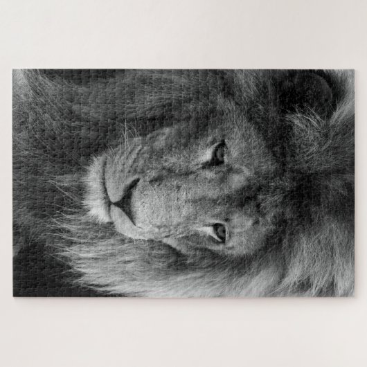 puzzle de lion mâle (Horizontal)