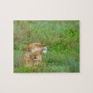 Puzzle de lionne et de bébé de l'amour de mère