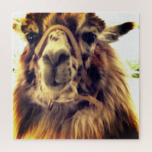 Puzzle de Llama (Vertical)