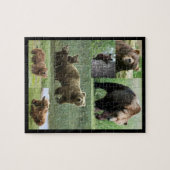 Puzzle de l'ours (Horizontal)
