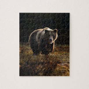 Puzzle de l'ours