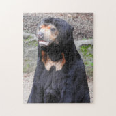 Puzzle de l'ours solaire (Vertical)
