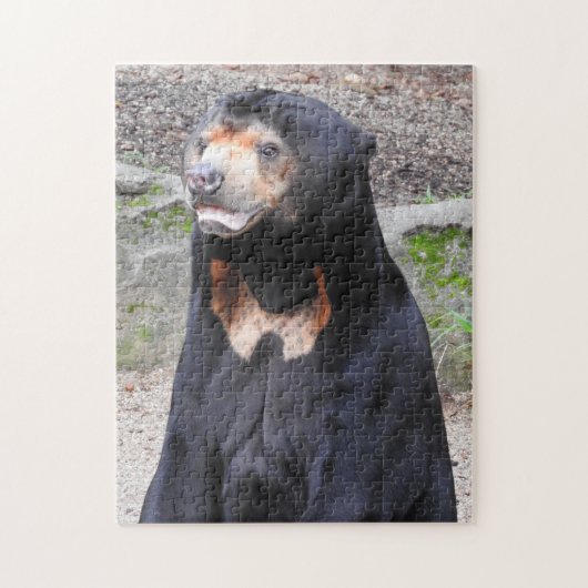 Puzzle de l'ours solaire (Vertical)