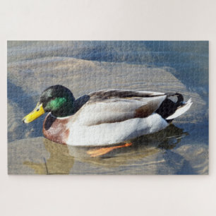 Puzzle de Mallard