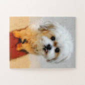 Puzzle de Malshi Dog géant (Horizontal)