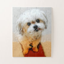 Puzzle de Malshi Dog géant