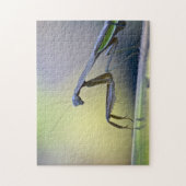 Puzzle de mante de prière (Vertical)