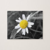 Puzzle de marguerite (Horizontal)