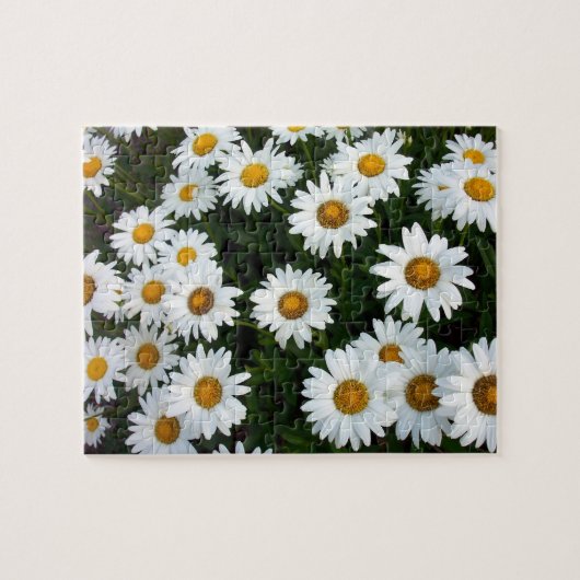 Puzzle de marguerite (Horizontal)