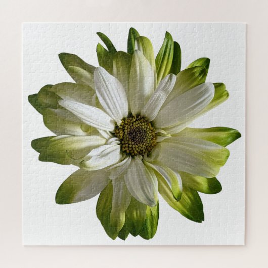 Puzzle de marguerite verte (Horizontal)
