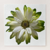 Puzzle de marguerite verte (Vertical)