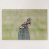 Puzzle de Meadowlark (Horizontal)