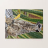 Puzzle de Meerkat Jigsaw (Horizontal)