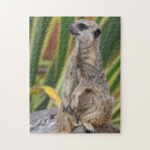 Puzzle de Meerkat Jigsaw (Vertical)