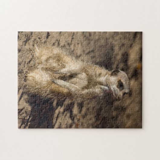 Puzzle de Meerkat Jigsaw (Horizontal)