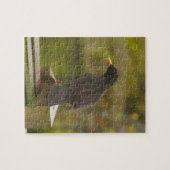 Puzzle de merle (Horizontal)