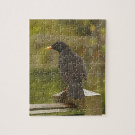 Puzzle de merle (Vertical)