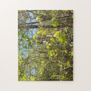 Puzzle de mésange