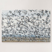 Puzzle de migration de printemps (Horizontal)