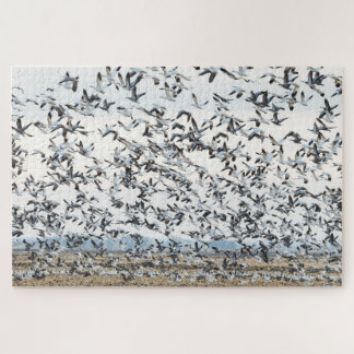 Puzzle de migration de printemps