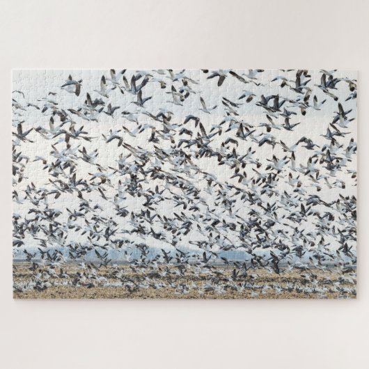 Puzzle de migration de printemps (Horizontal)