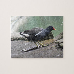 Puzzle de Moorhen