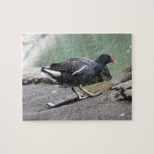 Puzzle de Moorhen (Horizontal)