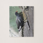 Puzzle de Moorhen (Vertical)