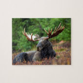 Puzzle de Moose Jigsaw (Horizontal)