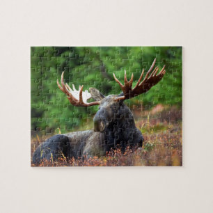 Puzzle de Moose Jigsaw