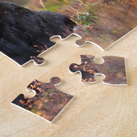Puzzle de Moose Jigsaw (Côté)