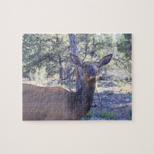Puzzle de Moose Jigsaw (Horizontal)