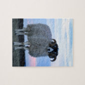 Puzzle de mouton avec tin (Horizontal)