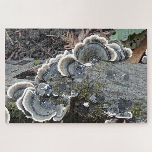 Puzzle de mycélium de Polypore versicolore (Horizontal)