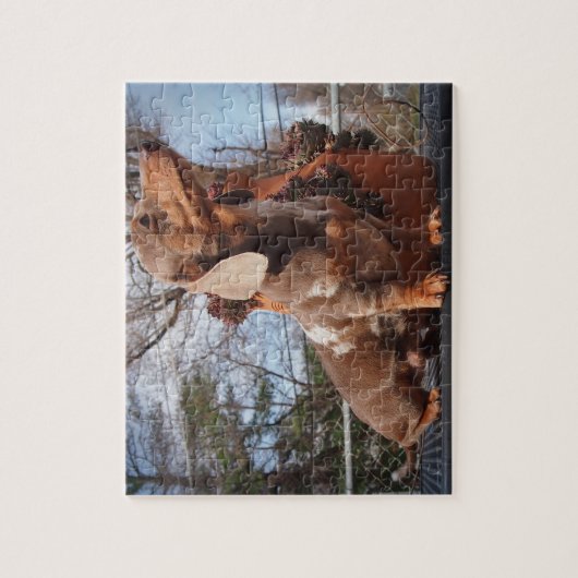 Puzzle de Nephele de teckels d'Eridox (Vertical)